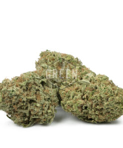 Papaya Punch #2 by Oni Seeds
