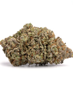 Passout Pink LSO – Indica