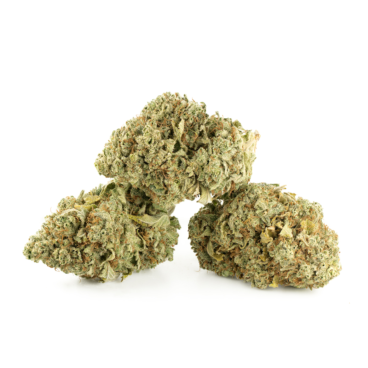 Blue Diesel by Pacific Craft