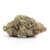 Juicy By Willo THC Disposable Vapes Juicy By Willo THC Disposable Vapes — buy online, same-day weed delivery in Toronto | Tropic Exotic