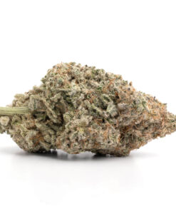 Pineapple Express – Hybrid — buy online, same-day weed delivery in Toronto | Tropic Exotic