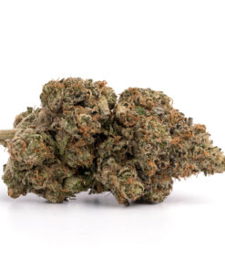 Pink Bubba