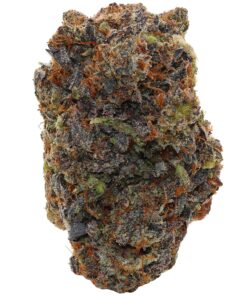 Waltz Premium Pink Chapo
