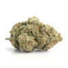 Pink Diablo – Indica