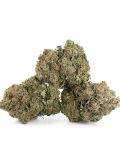 Pink Gas