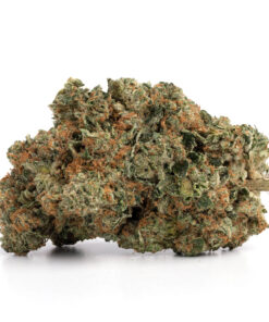Pink Kush