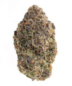 Pink Miami – Indica