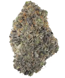 Astro Pink – Indica — buy online, same-day weed delivery in Toronto | Tropic Exotic