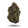 Pink Venom -Indica BULK — buy online, same-day weed delivery in Toronto | Tropic Exotic