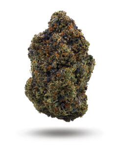 Pink Venom -Indica BULK — buy online, same-day weed delivery in Toronto | Tropic Exotic