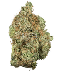 Platinum Cookies by Pluto Craft Cannabis