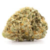 Critical Kush