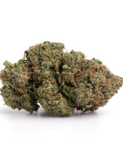 Pre-98 Bubba Kush