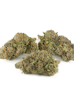 Pre-98 Bubba Kush