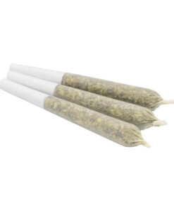 GasDank Pre-Roll Pack