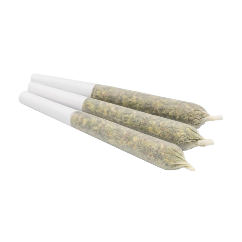 GasDank Quad Pre-Roll Pack