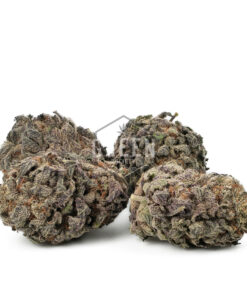 Purple Candy