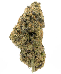 Purple Cheese — buy online, same-day weed delivery in Toronto | Tropic Exotic