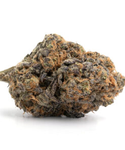 Purple Dream
