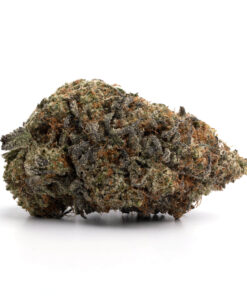 Purple Gas