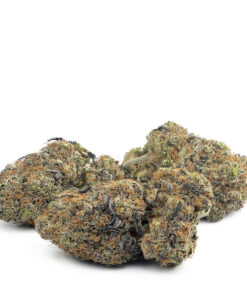 Purple Haze