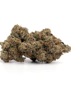 Purple Kush
