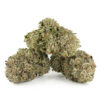 Hash Plant