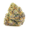 White Freezie – Hybrid White Freezie – Hybrid — buy online, same-day weed delivery in Toronto | Tropic Exotic