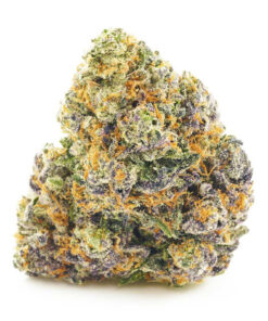 Funky Monkey – Hybrid — buy online, same-day weed delivery in Toronto | Tropic Exotic