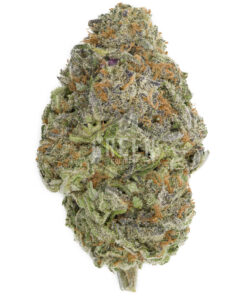 Purple Nuken