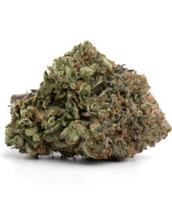 Race Fuel OG