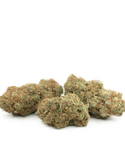 Red Lemon Congo