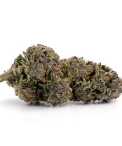 Rockstar Diesel