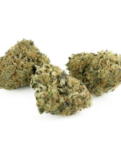 Romulan Cheese