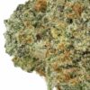 SFV OG Kush — buy online, same-day weed delivery in Toronto | Tropic Exotic