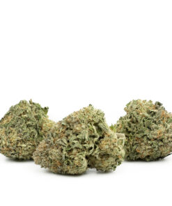 Sensi Star