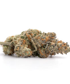 Shishkaberry