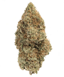 Slurricane
