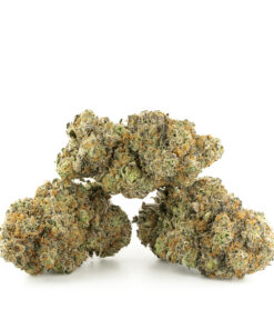 Slurricane