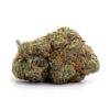 Blue Afghani Blue Afghani