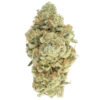 Dutch Treat