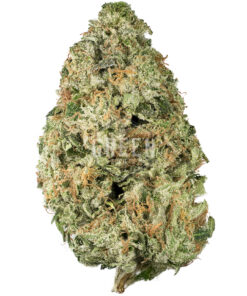 Star Killer
