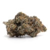 Pink Gorilla