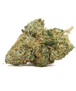 Stinky Pink – Indica BULK