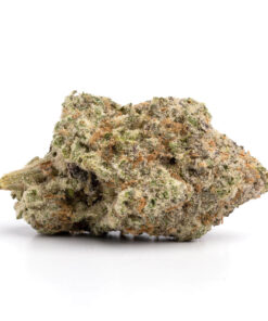Sundae Driver — buy online, same-day weed delivery in Toronto | Tropic Exotic
