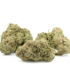 Sunset Sherbet