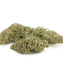 Super Lemon Haze