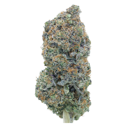 Apple Fritter – Sativa