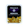 SHATTER – PEGASUS