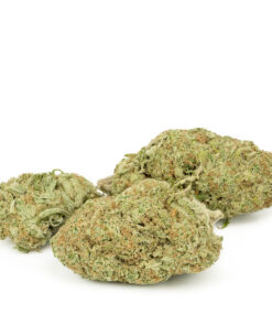 Tangerine Cookies